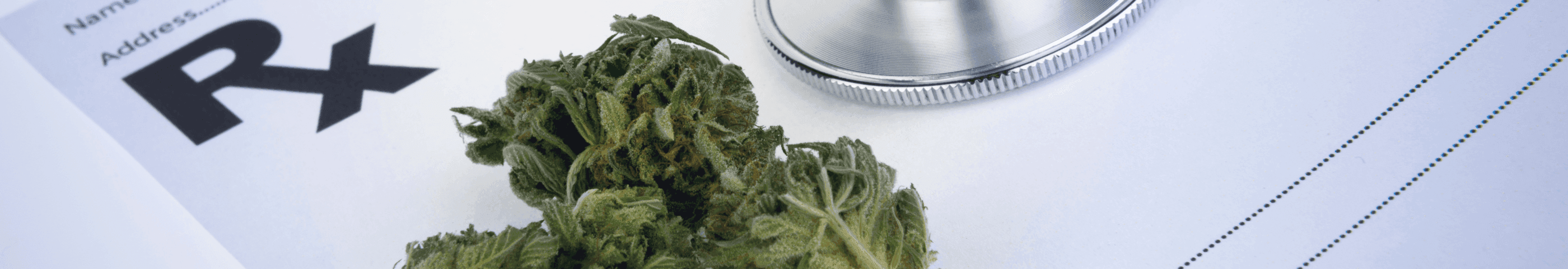 Rezept mit Cannabisblüte